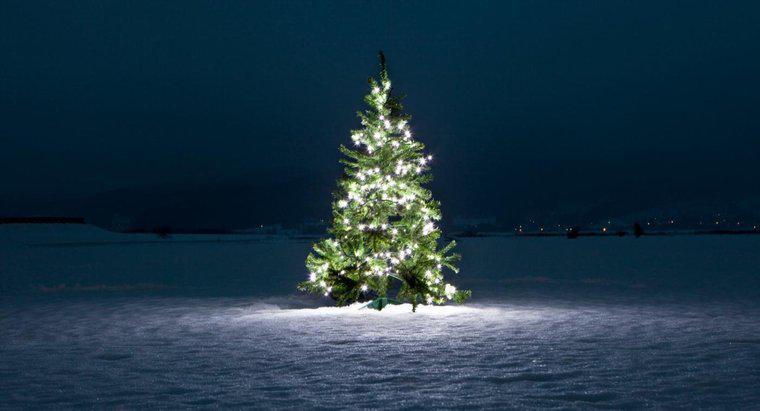 Che cosa simboleggia l'albero di Natale?