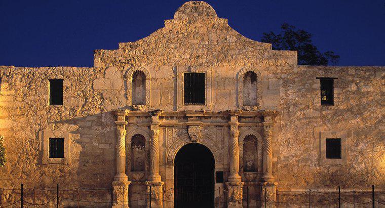 Quali sono alcuni fatti riguardo ad Alamo?