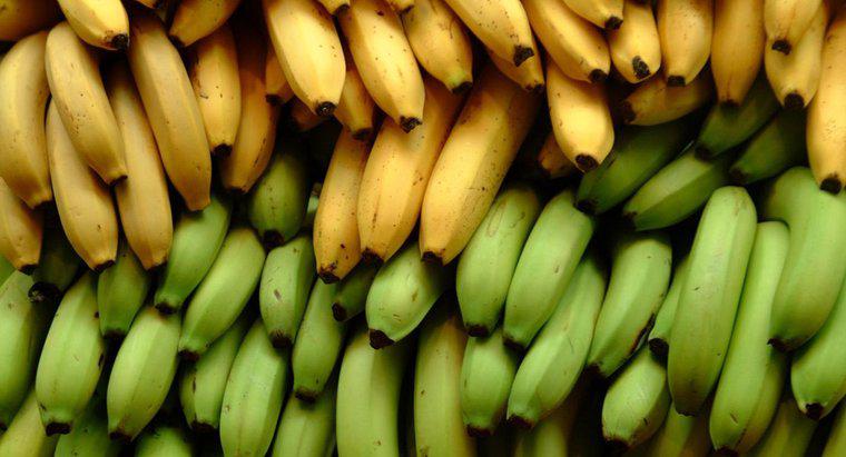 Quante once è una banana media?