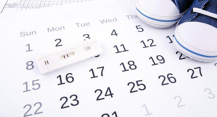 Cos'è un calcolatore dell'ovulazione?
