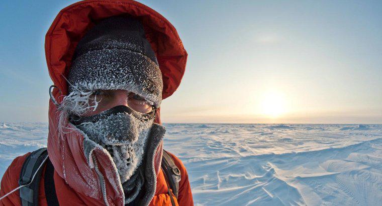 Quanto è freddo nell'Artico?