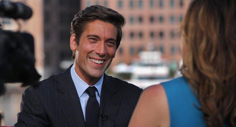 Chi è David Muir Dating?