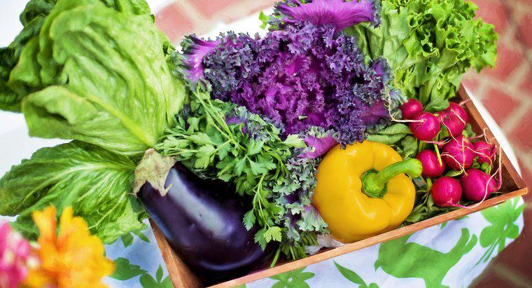 Diete e salute: una dieta a base vegetale
