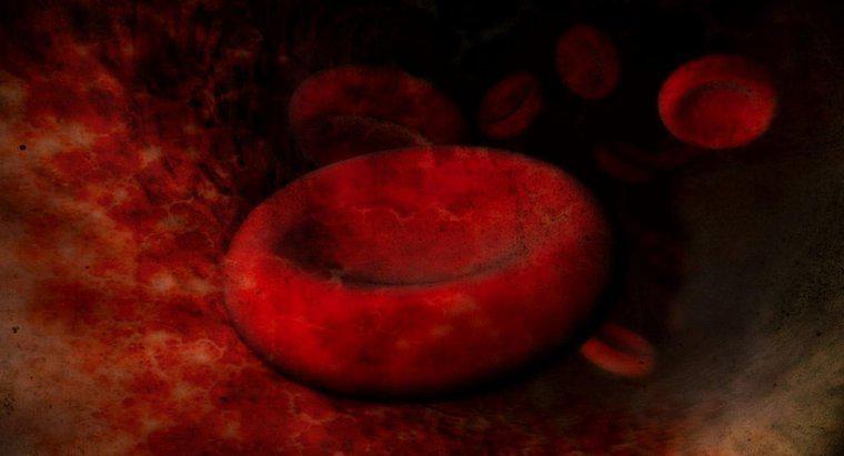 Qual è la causa dei globuli rossi ingranditi?