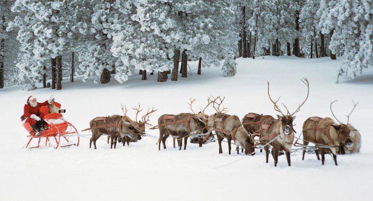 Quali sono i nomi delle renne di Babbo Natale?