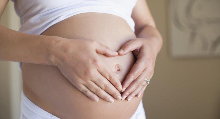 Quando è più probabile che una donna rimanga incinta?