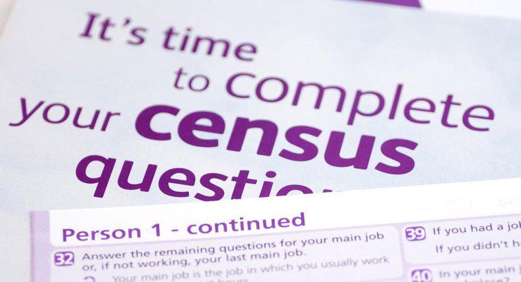 Qual è l'importanza di un censimento della popolazione?