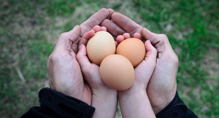 Quanto pesa un uovo di gallina?
