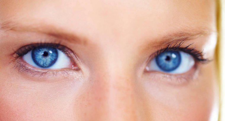 Qual è la funzione degli occhi?