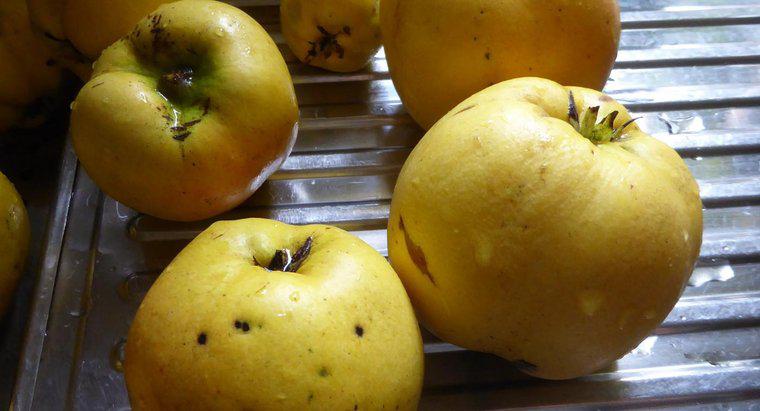Come mangi un frutto di mele cotogne?