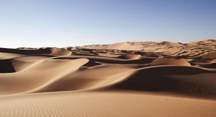 Quali sono alcuni fatti riguardo al deserto arabo?