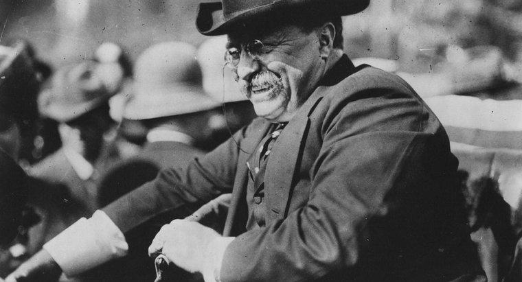 Perché Theodore Roosevelt è stato soprannominato "trust Buster"?