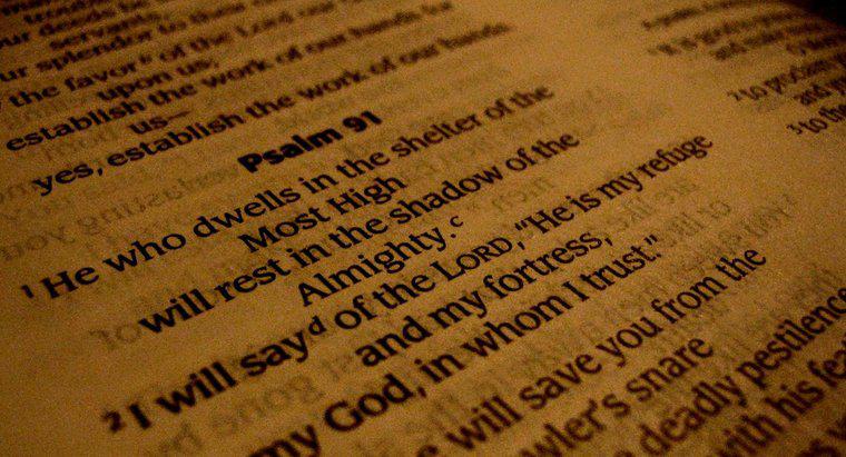 Qual è il libro dei Salmi?