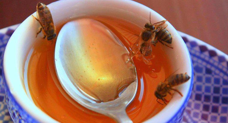 Qual è il miglior miele al mondo?