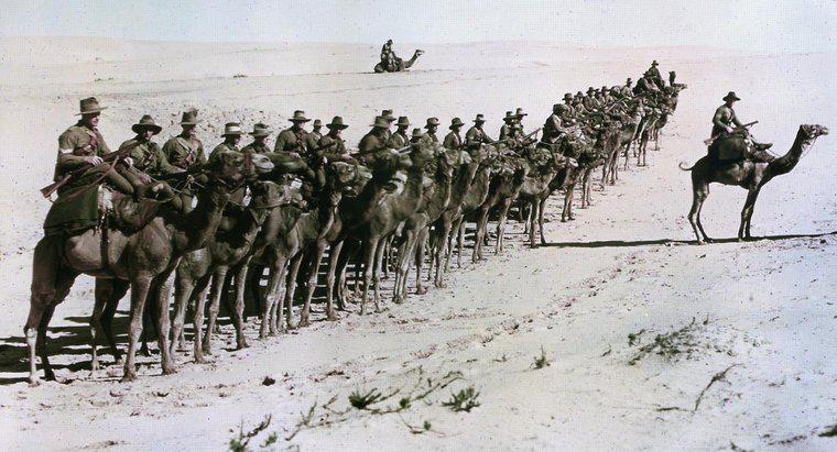 In che modo l'imperialismo ha contribuito alla prima guerra mondiale?