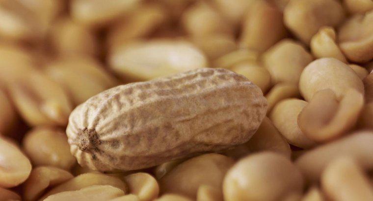 Quanto costa una Peanut?