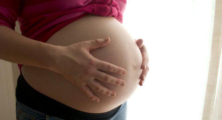 Qual è la gravidanza più lunga nella storia?
