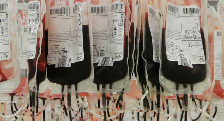 Qual è il tipo di donatore di sangue universale?