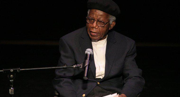Qual è la breve storia "The Voter" di Chinua Achebe About?