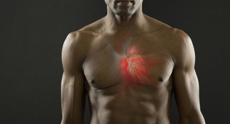 Il muscolo cardiaco può essere tetanizzato?