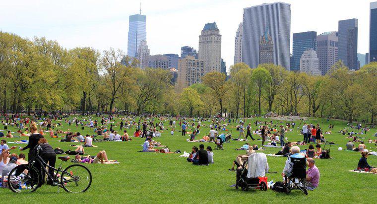 Quanto è grande Central Park a New York?