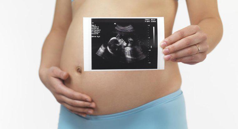 Può un feto di 5 mesi sopravvivere fuori dall'utero?