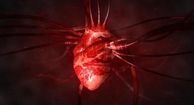 Che cosa è un'arteria allargata dal cuore?
