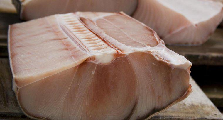 La carne di squalo è sicura da mangiare?