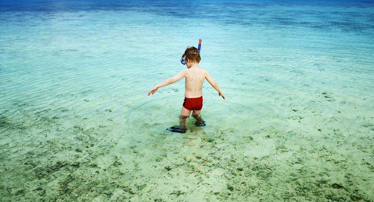 Dove sono le Maldive sulla mappa del mondo?