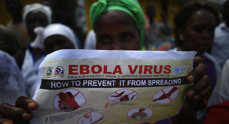 Come possono le persone proteggersi dalla malattia da virus Ebola?