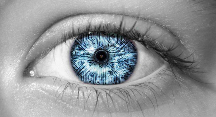Cosa abilita l'occhio umano a vedere i colori?