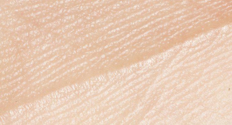 Quanto tempo impiega la pelle a sostituirsi?