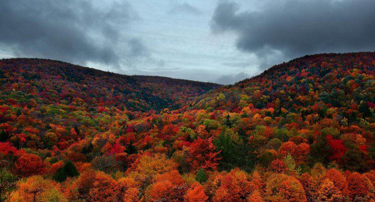 Qual è il clima nel Vermont come in autunno?