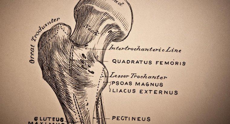 Cos'è l'osteopenia del collo del femore?