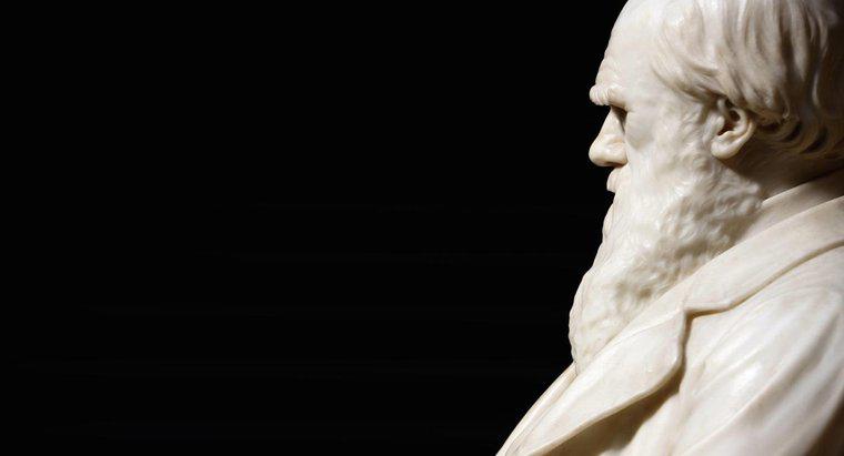 Dove Charles Darwin andò a scuola?