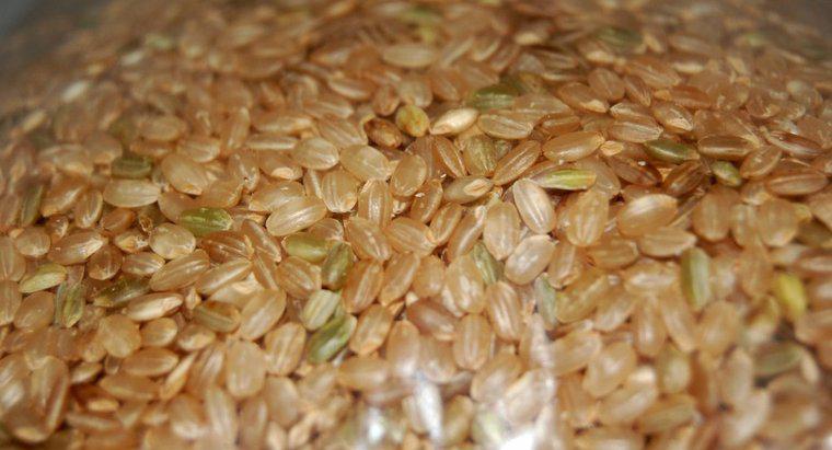 È possibile cuocere il riso integrale in un fornello lento?