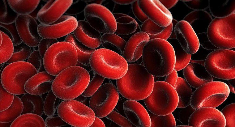 Quali sono le cause per cui il numero di globuli rossi è basso?