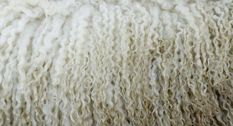 Qual è la differenza tra lana vergine e lana normale?
