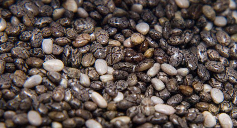 Quali sono gli effetti collaterali dei semi di Chia?