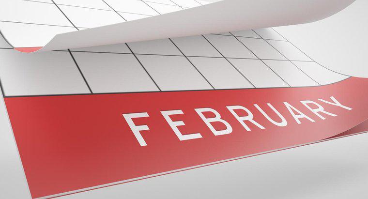 Perché il mese della storia nera è celebrato a febbraio?