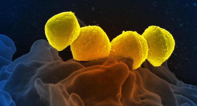 I batteri muoiono quando sono congelati?