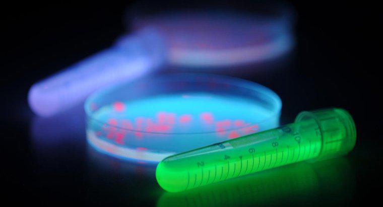 In che modo le lampadine a raggi UV inibiscono la crescita batterica?