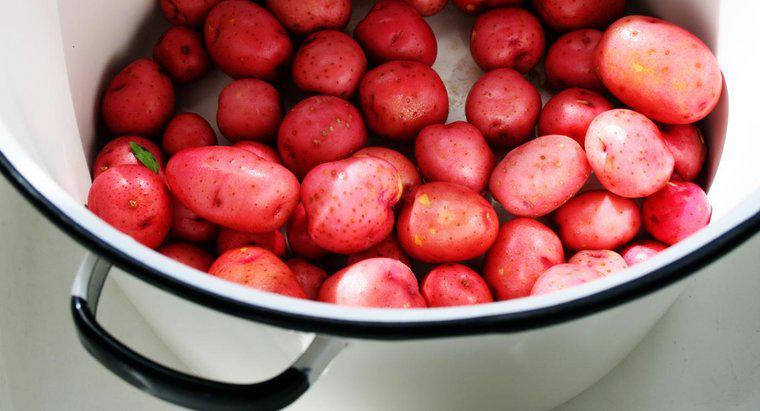 Quanto tempo dovresti far bollire le patate rosse?