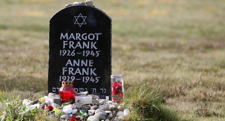 Quali erano le principali realizzazioni di Anne Frank?