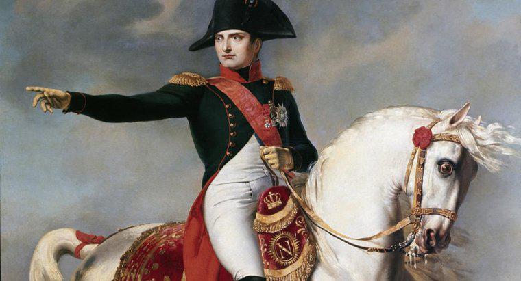 Quale obiettivo della rivoluzione Napoleone ha raggiunto?
