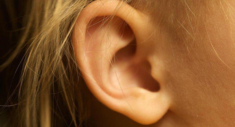 Come si rimuove la cera dell'orecchio?