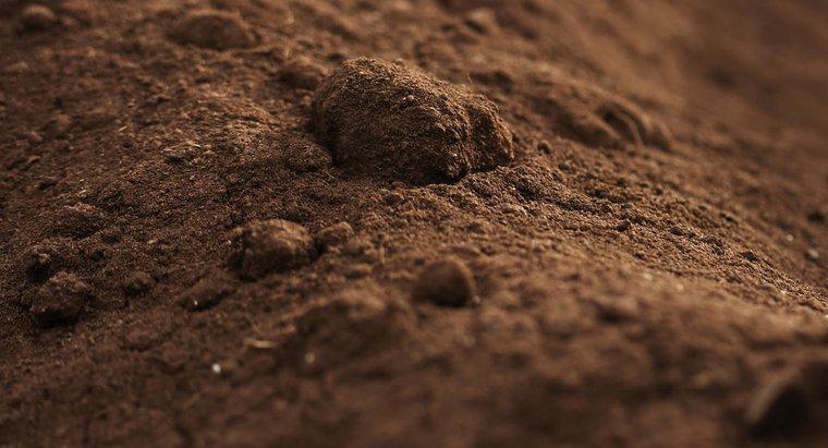 Quali sono alcuni dei diversi tipi di suolo?