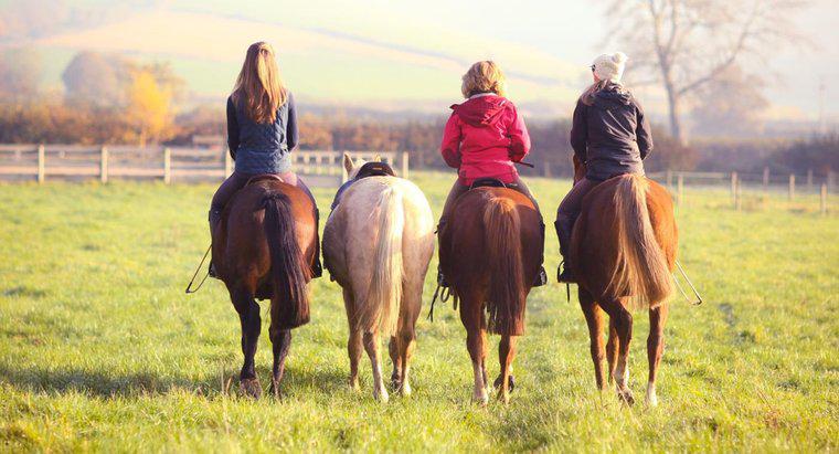 Quando è stato inventato l'Horseriding?