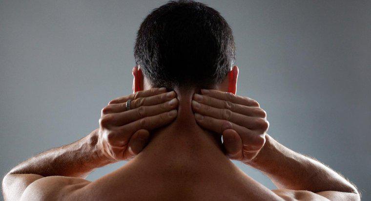 Quando dovresti vedere un medico sul dolore al collo?