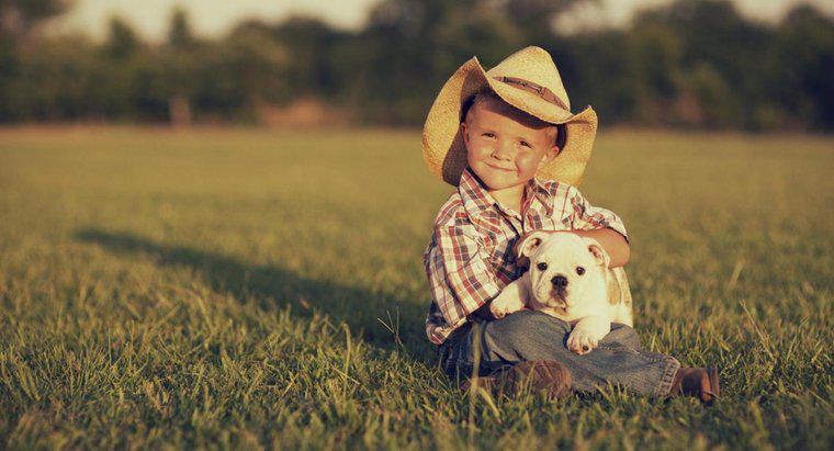 Quanto è lunga la memoria di un cane?